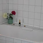 Voegel Langenegg