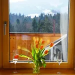 Voegel Apartman